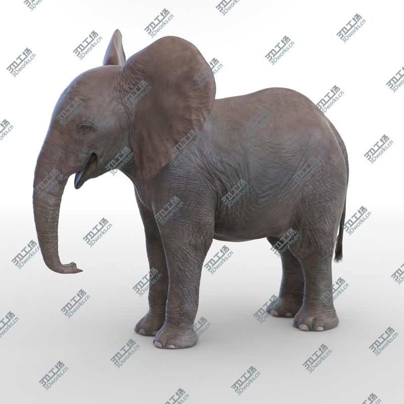 images/goods_img/202105072/Baby Elephant/3.jpg